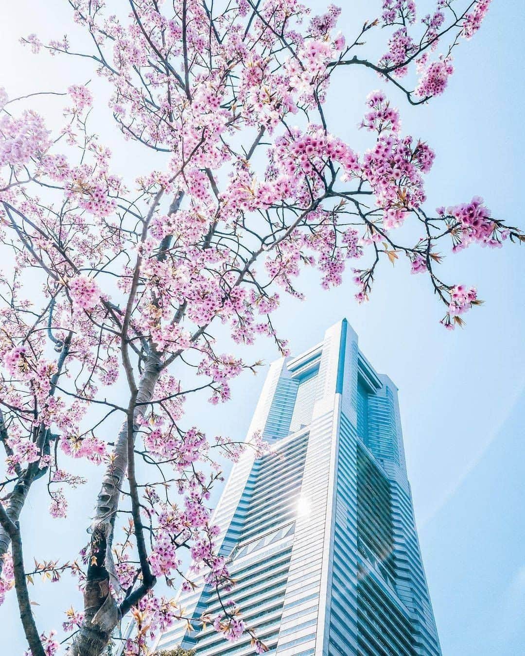 横浜市のグルメインスタ