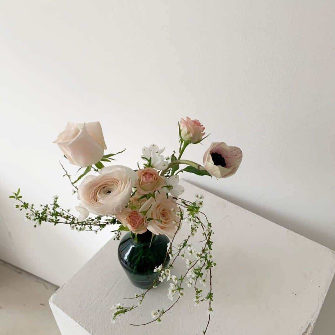 플로리스트 이주연 florist Lee Ju Yeonさんのインスタグラム写真 - (플로리스트 이주연 florist Lee Ju YeonInstagram)「. . 압구정 수치과 display  @sudent_official  그린컬러 멋진 화병에 담아서 @e.p.o.k  . #display #꽃정기구독 #플라워디스플레이  . 订花 WeChat ID vaness_flower 페이팔 결제 가능  클래스상시모집 당일꽃주문가능 . #수업문의 #주문예약 #lesson #Order  Katalk ID vaness52 WeChat ID vaness_flower E-mail vanessflower@naver.com . 서초구 양재천로 123 5층 📞02-545-6813 . #vanessflower #florist #flowershop #handtied #flowerlesson #花束 #바네스플라워 #플로리스트 #꽃다발 #부케 #플로리스트학원 #플라워레슨 #양재동꽃집 #양재역꽃집 #꽃다발주문 #꽃수업 #꽃주문  #대관 #공간대여 #스튜디오대관 #자연광스튜디오 #자연광스튜디오대관 #스튜디오」2月15日 18時06分 - vanessflower