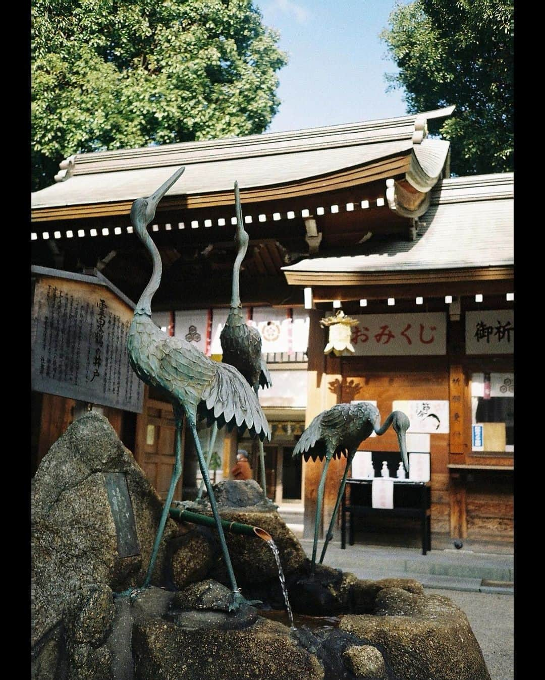 入江甚儀さんのインスタグラム写真 - (入江甚儀Instagram)「﻿ ⛩ 櫛田神社 ⛩﻿ ﻿ #lomography100 ﻿ #konicabigmini301﻿ #film」2月15日 18時12分 - jingi_irie