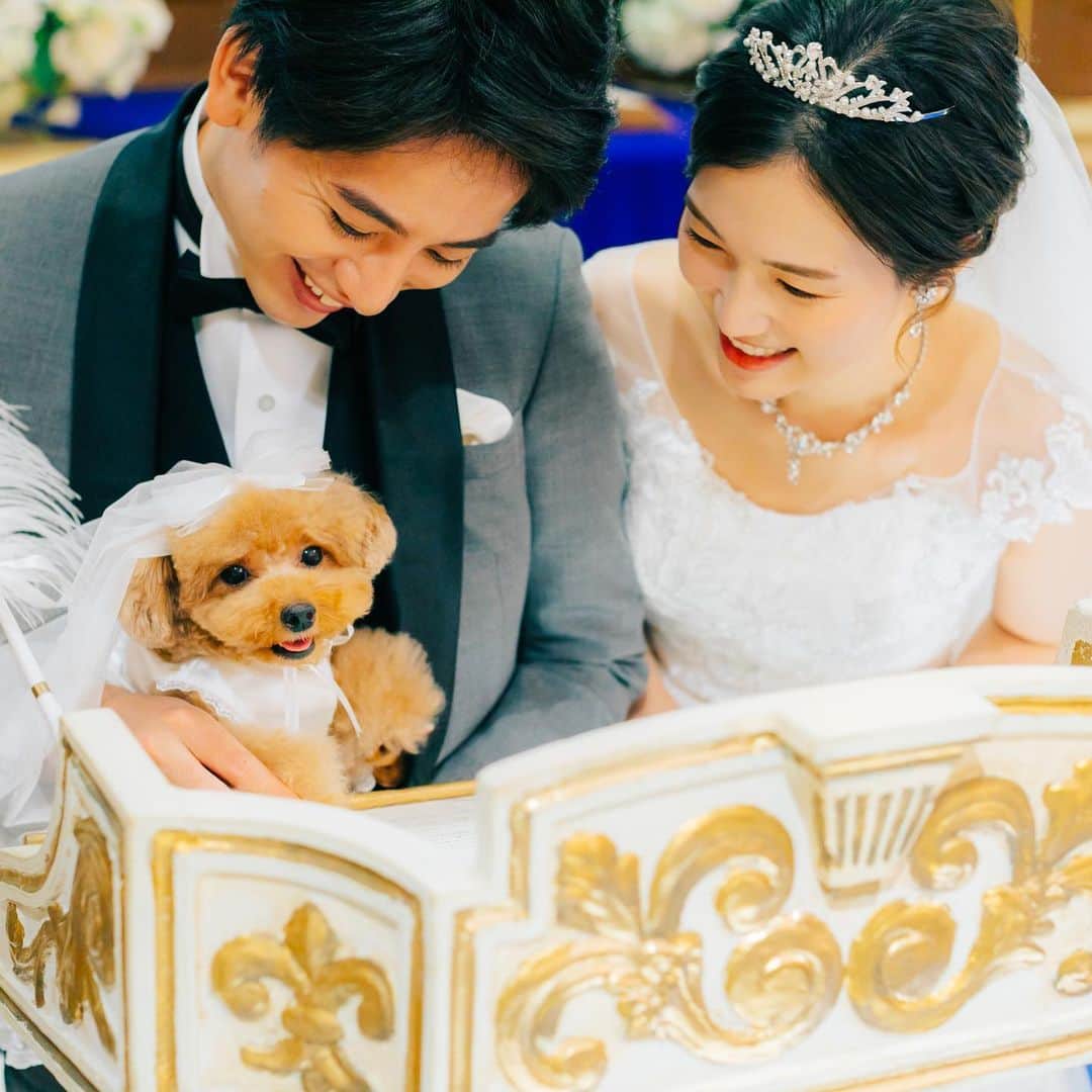 アニヴェルセル 白壁 公式のグルメインスタ