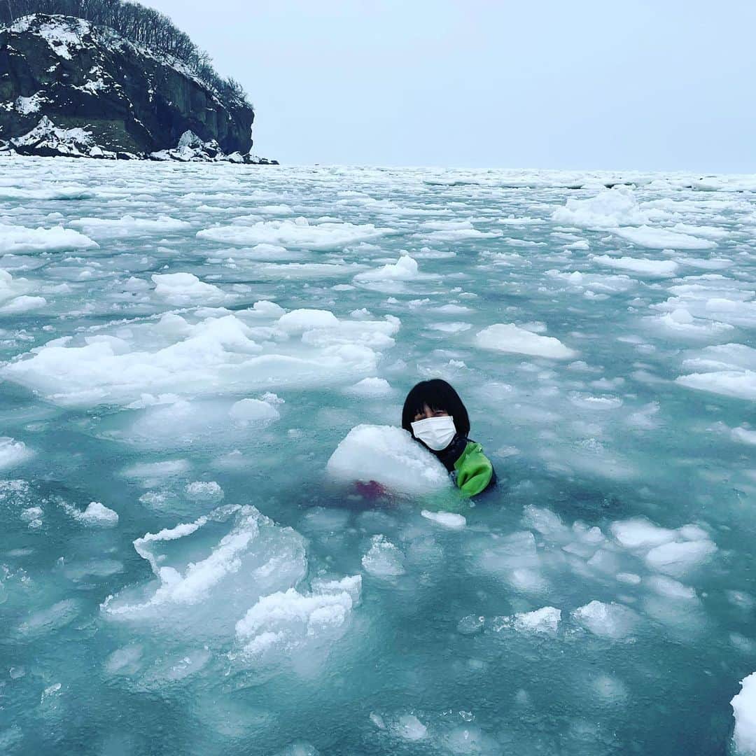 たまたまこさんのインスタグラム写真 - (たまたまこInstagram)「人生で初めて流氷浸かったww ドライスーツで全然寒くないしずっと入ってたかった😻 野生のクリオネも見れたし、 自然って本当にすごい。」2月15日 18時18分 - tamarikomari