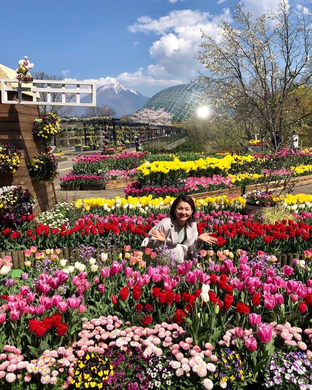 桜帆ゆかりのインスタグラム：「お花畑行きたいなー💓🌷🌸🌼 お花に埋もれる幸せ🤩  やっぱり花回廊、好きなんですよねぇー✨ 行った事ない方いつか是非ぜひ！行って欲しいです🥰❤️  #とっとり花回廊 #美しい花々 #最高の癒し空間 #後ろには大山 #鳥取PR #自然を感じる #荒川紫帆」