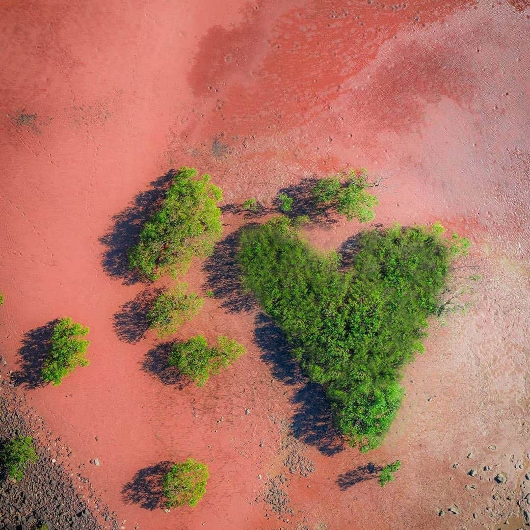 Australiaさんのインスタグラム写真 - (AustraliaInstagram)「Apologies in advance, but we couldn't resist adding even more loved up vibes to your feed 😝 After receiving a plethora of heart-filled ❤️ snaps from across Australia over the weekend, it became clear that everyone is in the mood to share a bit of affection. So, whether you're into #ValentinesDay or not, here you go... because everyone can do with a little extra light and love right now.   📍📸 : 1. Broome, @westernaustralia by @aeroscapesaus  2. Moreton Island, @queensland by @iamjustfitz 3. @huntervalley, @visitnsw by @amurphy_photo  4.@quobbastation, @westernaustralia by @dylan.dehaas  5. @yorkepeninsula, @southaustralia by @susiereynolds66」2月15日 19時01分 - australia