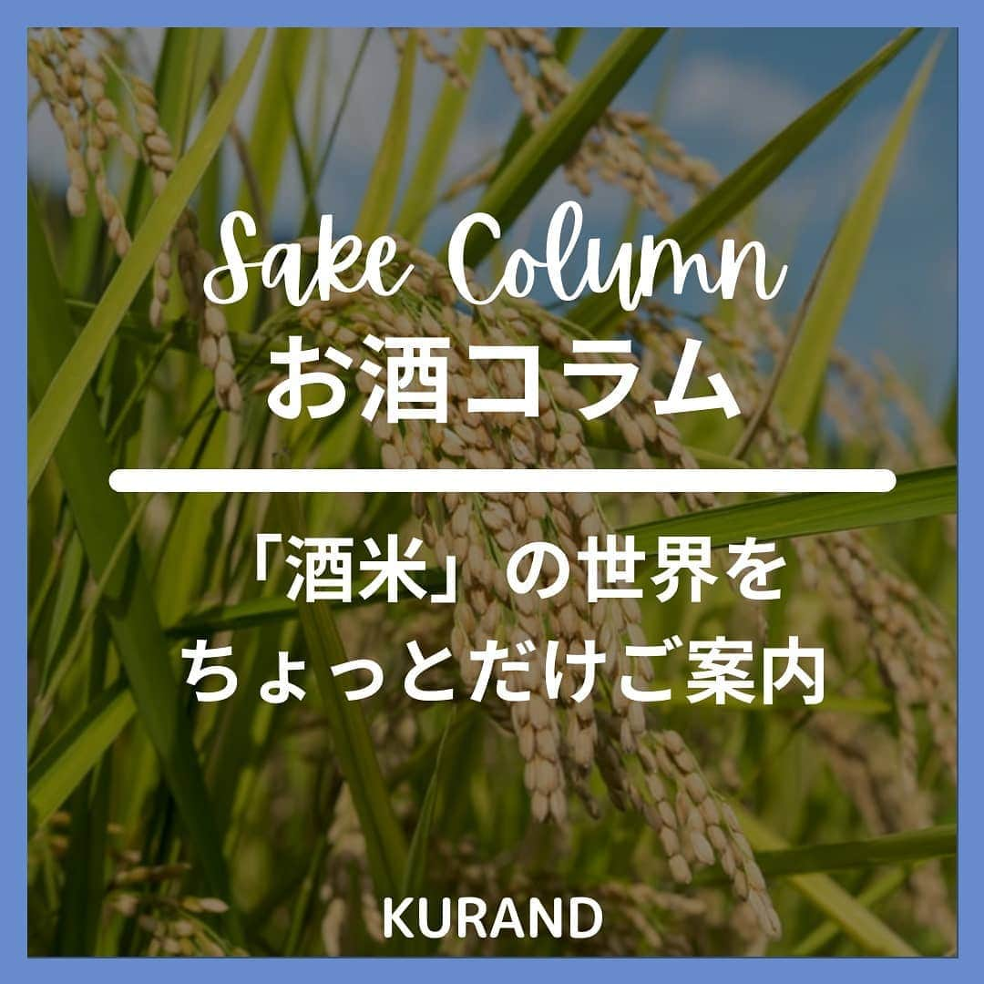 KURAND@日本酒飲み放題さんのインスタグラム写真 - (KURAND@日本酒飲み放題Instagram)「「酒米」の世界。 なるべく簡単にしてみました。  お酒コラム。 不思議とためになる！？ ゆる〜い情報を発信していきます。  今日、ご紹介するのは、 「酒米」（さかまい）のお話です。  お酒のボトルやラベルで見かける文字。 “山田錦” や “精米歩合” …。  なんとなくでも意味が分かると、 お酒も違った味方で楽しめるはず。 ぜひ、読んでみてください。  地震や雨と天候の乱れが続きますが、 お体に気をつけて。  みなさまに、素敵なお酒ライフを。  __  KURANDは、お酒のオンラインストア。 見るだけでも楽しいサイトで、 ワクワクするお酒とともに待ってます。  🍶 お酒の情報やお買い物は、 ▽ プロフィールのリンクから @kurand_info  ワクワクお買い得BOX 「酒ガチャ」も好評販売中です。  #KURAND #コラム #お酒コラム #お米 #コメ #酒米 #豆知識 #酒造り #文化 #伝統 #おこめ  #お酒好きな人と繋がりたい  #お酒は20歳になってから #ホットで #おうち飲み  #オンラインストア  #日本酒をもっと自由に #お酒ライフを豊かに」2月15日 19時22分 - kurand_info