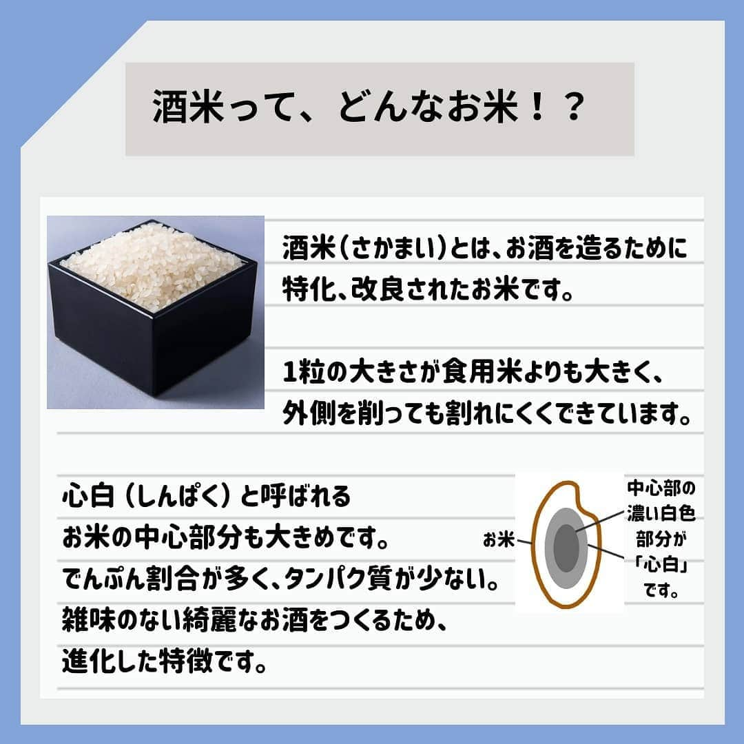 KURAND@日本酒飲み放題さんのインスタグラム写真 - (KURAND@日本酒飲み放題Instagram)「「酒米」の世界。 なるべく簡単にしてみました。  お酒コラム。 不思議とためになる！？ ゆる〜い情報を発信していきます。  今日、ご紹介するのは、 「酒米」（さかまい）のお話です。  お酒のボトルやラベルで見かける文字。 “山田錦” や “精米歩合” …。  なんとなくでも意味が分かると、 お酒も違った味方で楽しめるはず。 ぜひ、読んでみてください。  地震や雨と天候の乱れが続きますが、 お体に気をつけて。  みなさまに、素敵なお酒ライフを。  __  KURANDは、お酒のオンラインストア。 見るだけでも楽しいサイトで、 ワクワクするお酒とともに待ってます。  🍶 お酒の情報やお買い物は、 ▽ プロフィールのリンクから @kurand_info  ワクワクお買い得BOX 「酒ガチャ」も好評販売中です。  #KURAND #コラム #お酒コラム #お米 #コメ #酒米 #豆知識 #酒造り #文化 #伝統 #おこめ  #お酒好きな人と繋がりたい  #お酒は20歳になってから #ホットで #おうち飲み  #オンラインストア  #日本酒をもっと自由に #お酒ライフを豊かに」2月15日 19時22分 - kurand_info