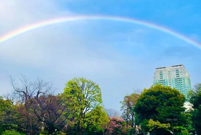 八芳園さんのインスタグラム写真 - (八芳園Instagram)「久方振りの雨。 . 庭園では池や木々に 雨粒が落ちる音が響きます。 . 前日の陽気で一斉に花開いた河津桜や白梅は、 雨の中でも花を落とすことなく 咲き誇っております。 . 午後になり雨が止んだあとの、 木についた雫の珠のような煌き。 . 晴れた青空には二重の虹もかかりました。 . 春に向けて芽吹いていく生命の 美しさと力強さを、 見つけてみてください。 . . . . #八芳園 #結婚式場 #日本庭園 #梅の花 #白梅 #桜 #河津桜 #虹 #ダブルレインボー #雨 #雨上がり #🌸 #🌈 . #東京観光 #東京カメラ部 #カメラ好きな人と繋がりたい #写真好きな人と繋がりたい #ファインダー越しの私の世界 #その瞬間に物語を #いまそら #風景写真 . #japanesegarden #tokyotrip #japan_of_insta #japantravel #jp_mood #jp_views #rainbow #rainy #sakura」2月15日 19時26分 - happoen