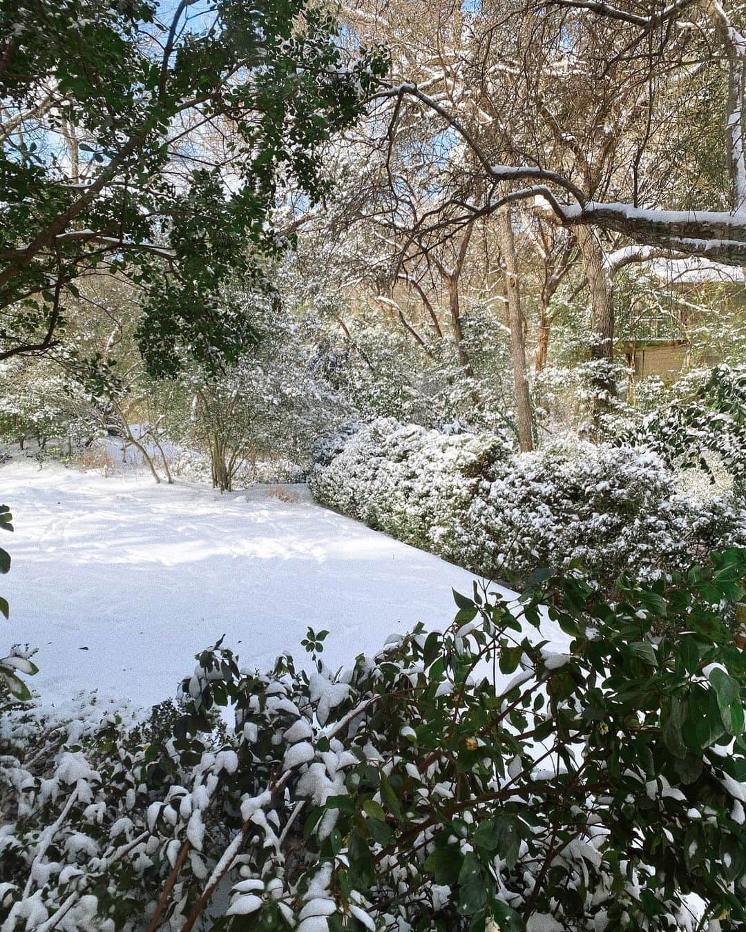 Sazan Hendrixさんのインスタグラム写真 - (Sazan HendrixInstagram)「Woke up to snow again in TX! It’s so crazy that we’re seeing this kind of winter in the south 🥶 I know all my homies in the North are like 🥱. Regardless, there have been power outages all across the state and lots of cars stranded in our area. Stevie ended up taking his Jeep to help rescue cars stuck on the icy roads! Not sure where he learned to do that but I guess I will promise to never hate on that darn Jeep again LOL. Hope you’re having an eventful Monday! 😂 Stay safe and warm everyone! ❄️ 🥣🛻 #winterintexas #steveismyhero」2月16日 5時28分 - sazan