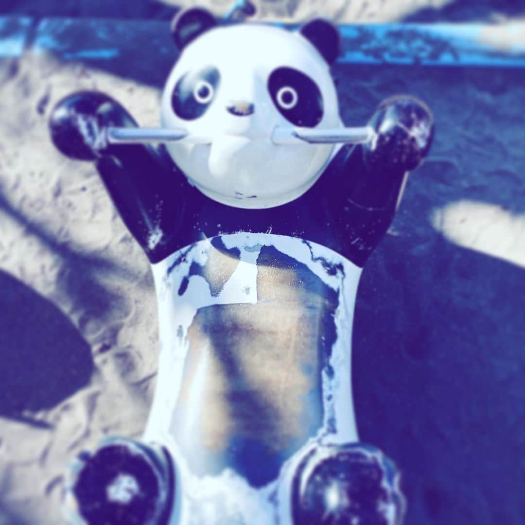 中野敬久さんのインスタグラム写真 - (中野敬久Instagram)「#panda #waiting #hug #wannahold #yourhands #park」2月16日 5時58分 - hirohisanakano