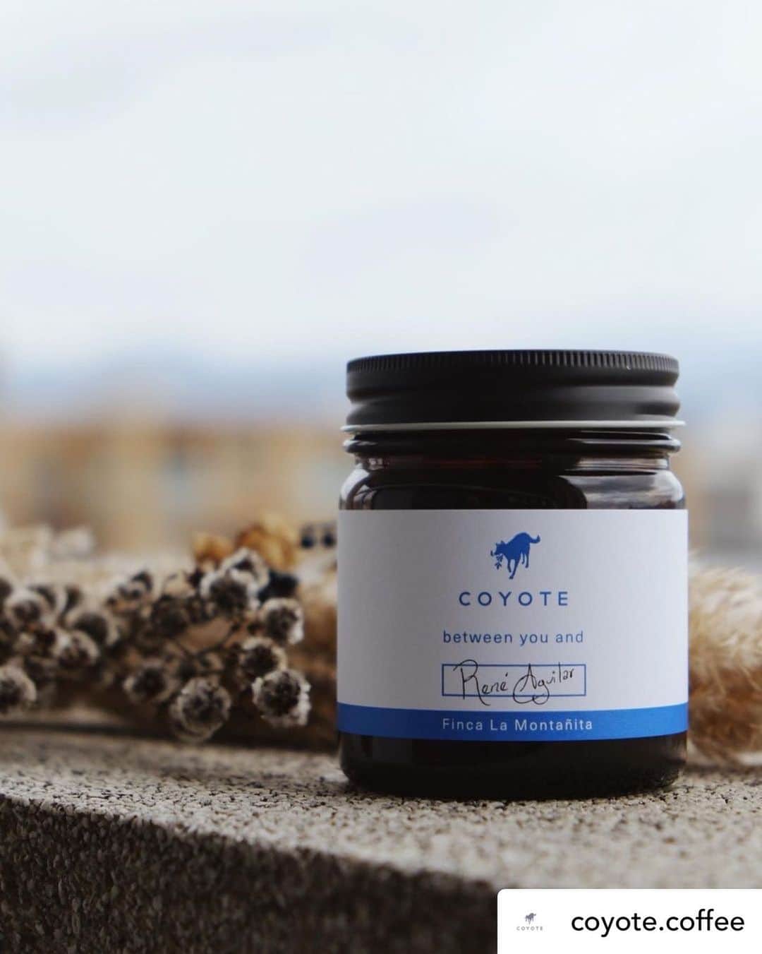 FORTUNE GARDEN KYOTOのグルメインスタ