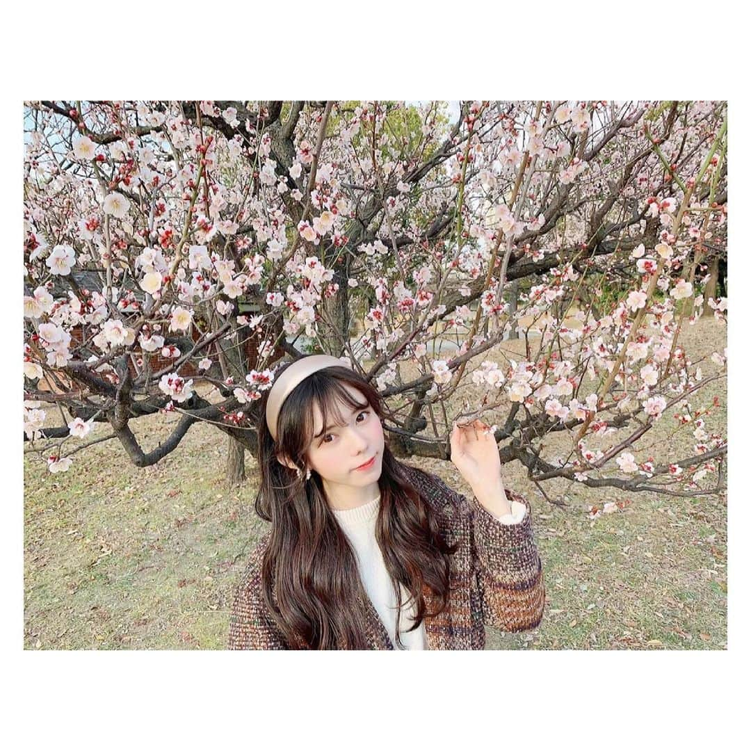 大森莉緒さんのインスタグラム写真 - (大森莉緒Instagram)「・ ・ もう桜咲いてるのー！！🌸 って喜んで写真撮ったけど、ちゃんと調べてみたら梅だった…😂 ・ ・ この色は完全桜だと思わない？！🥱 ・ ・ #大森莉緒 #おーりお #おりおんず #桜 #梅 #梅の木 #春 #instagood #instapic #instaphoto #good #spring #좋아요 #셀카 #셀카그램 #추억 #먹스타그램 #봄 #매화나무」2月15日 21時39分 - rio.ohmori