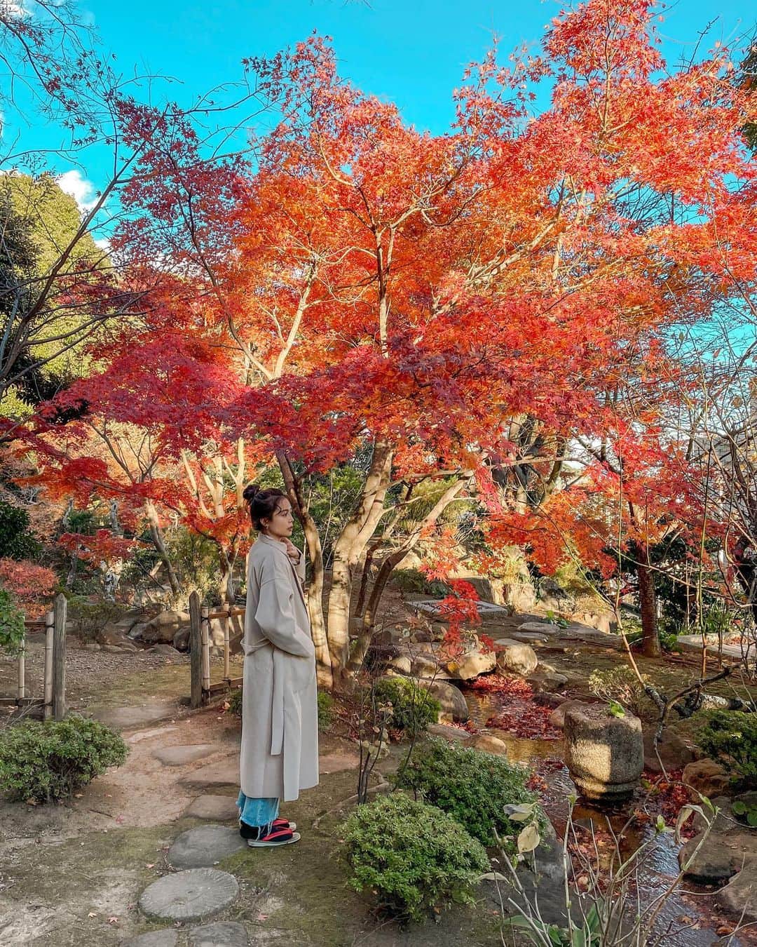 西田美保さんのインスタグラム写真 - (西田美保Instagram)「Wherever life plants you, bloom with grace🍁」2月15日 21時51分 - real.miho_nishida