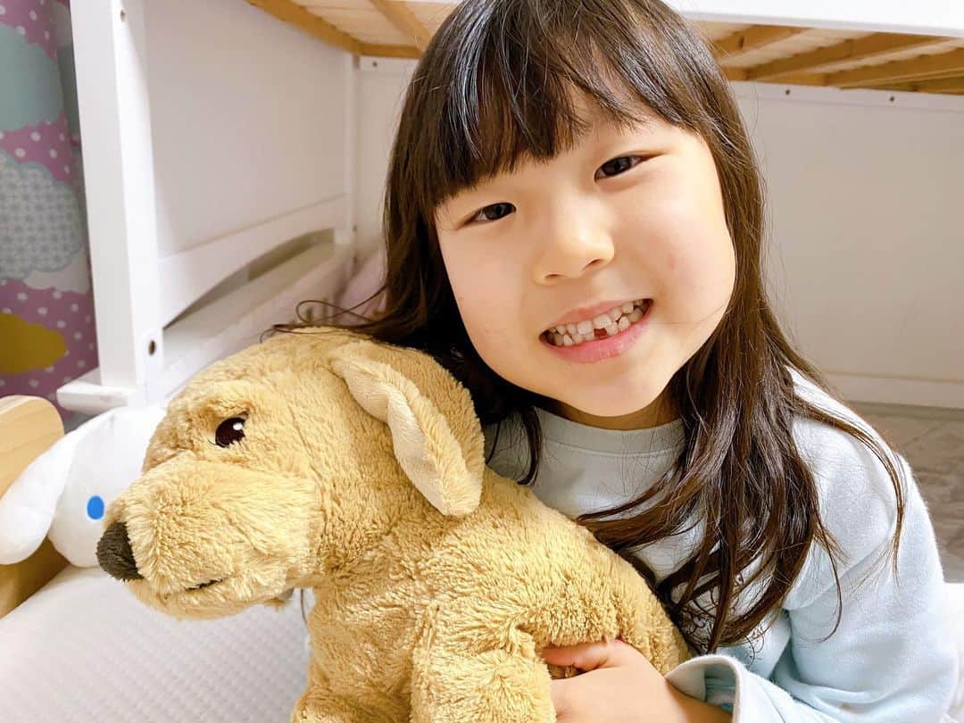 江原千鶴（エハラチヅル）さんのインスタグラム写真 - (江原千鶴（エハラチヅル）Instagram)「おとちゃんの初めて歯が抜けた記念日❤️  お姉さんになったみたいで、嬉しそう‼️😊  今までみんなの抜けた歯は、とりあえずジップロック入れとこ〜で何年も経ちます。。。  #歯が抜けた記念日 #おとちゃん #6歳#年長さん#三女」2月15日 21時52分 - eharachizuru