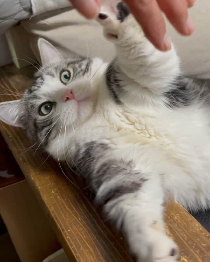 kamunaのインスタグラム