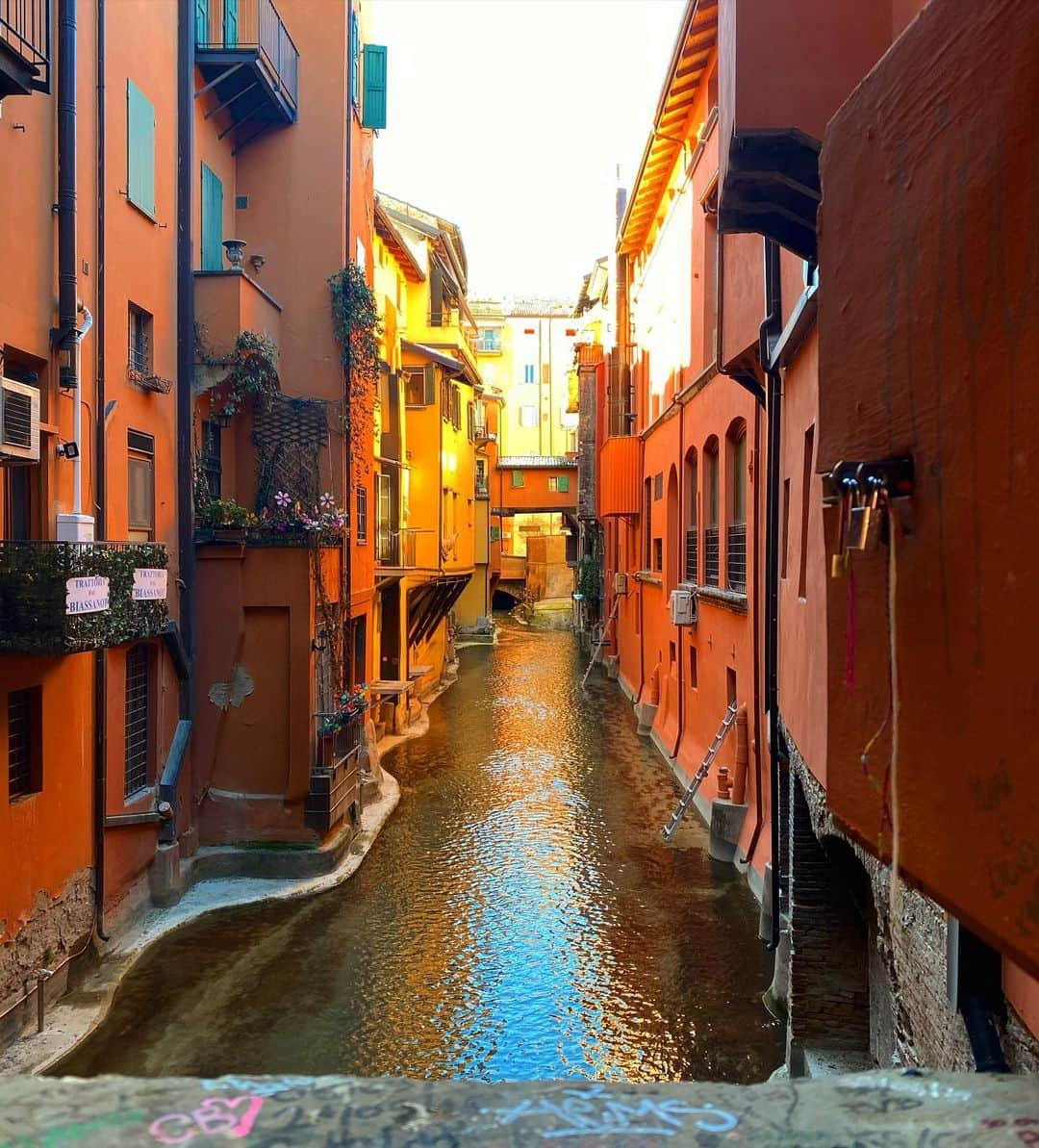 Alessia Marcuzziさんのインスタグラム写真 - (Alessia MarcuzziInstagram)「Bologna❤️ #pitstop」2月15日 22時46分 - alessiamarcuzzi