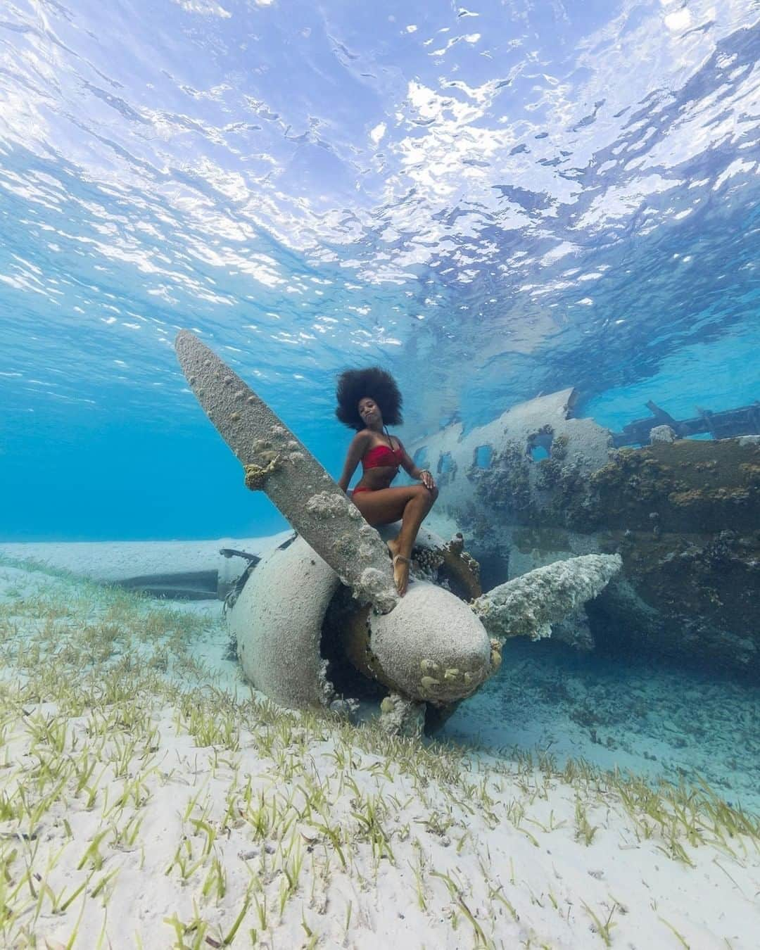 Discoveryさんのインスタグラム写真 - (DiscoveryInstagram)「"Afroplane" 👩🏾‍🦱✈️💦  Photo by Bahamian Underwater Photographer @andremusgrove  Underwater Model: @alannahvellacott  #AndreMusgrove #UnderwaterPhotographer #BahamasPhotographer #Exuma #NormansCay #Freediver #FreedivingPhotography #DiveBahamas #UnderwaterModel #BlackHistoryMonth」2月15日 23時00分 - discovery