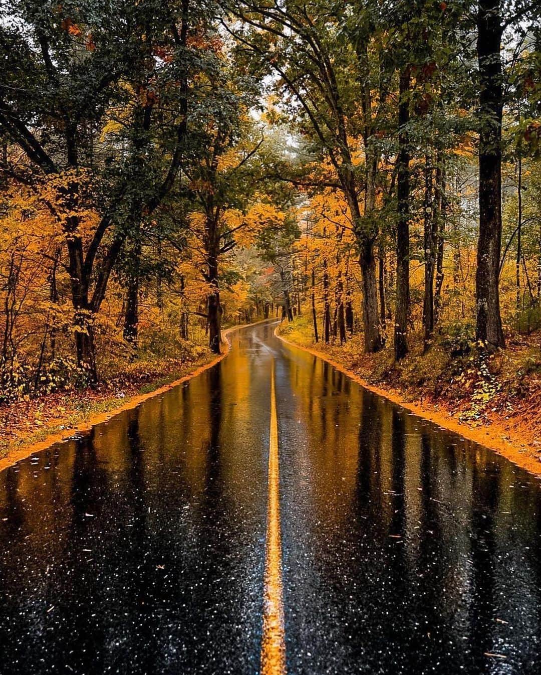 Live To Exploreさんのインスタグラム写真 - (Live To ExploreInstagram)「Autumn in Massachusetts  Photo by @new_englander__  Tag your loved ones to see the photos!  #WeLiveToExplore」2月15日 23時09分 - welivetoexplore