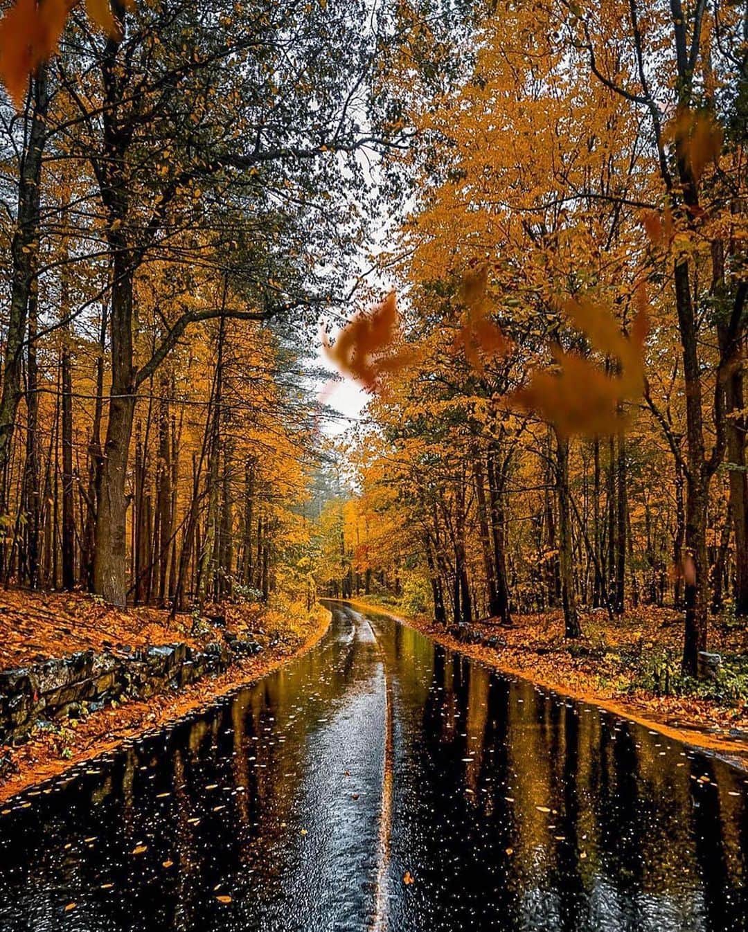Live To Exploreさんのインスタグラム写真 - (Live To ExploreInstagram)「Autumn in Massachusetts  Photo by @new_englander__  Tag your loved ones to see the photos!  #WeLiveToExplore」2月15日 23時09分 - welivetoexplore