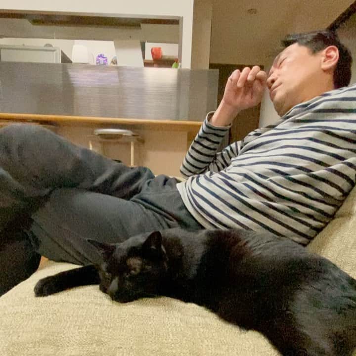 nemuru_catのインスタグラム：「#ベム#眠る夫  睡魔にすぐ負ける💤 * #ねこ部#cat#cats#neko#猫#catsofinstagram#bestmeow#catlover#ふわもこ部#黒猫」
