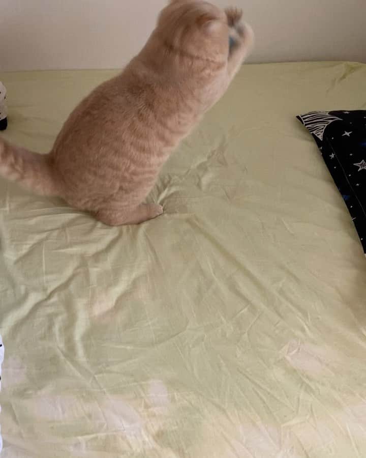 のインスタグラム：「ご無沙しております。 らいちゃん相変わらず元気もりもり❤️」