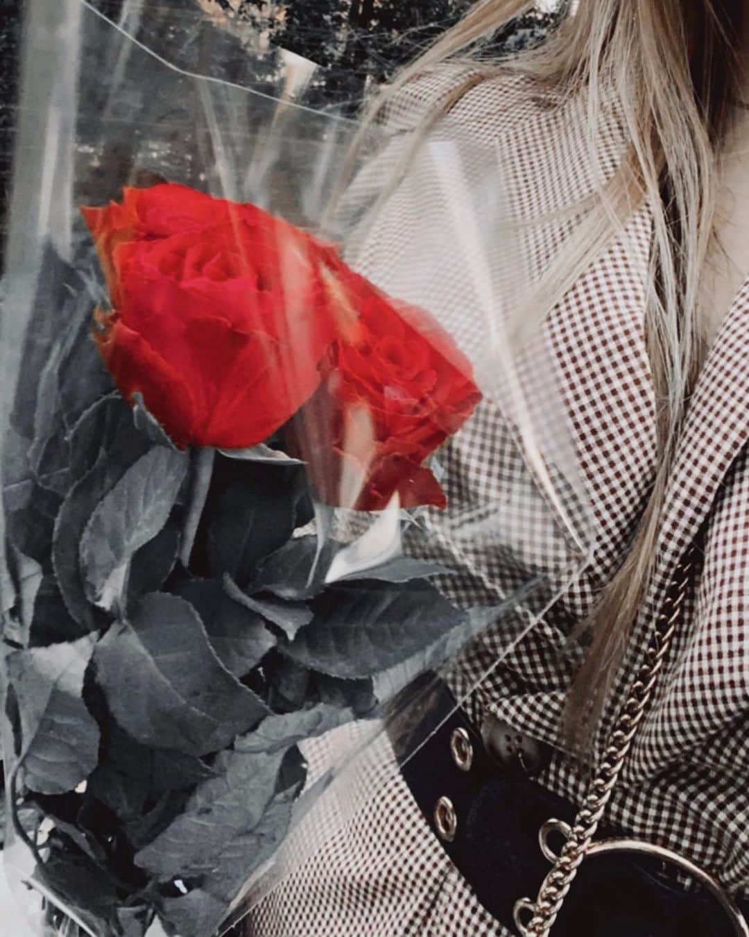 神宮 若奈さんのインスタグラム写真 - (神宮 若奈Instagram)「🌹🌹🌹 #redroses #rose #fiveroses」2月16日 1時06分 - jinguwakana