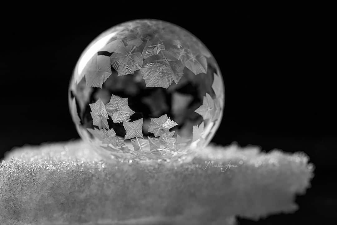 Sigma Corp Of America（シグマ）のインスタグラム：「If it's a bit chilly outside in your neck of the woods, there's no better time to freeze some soap bubbles and capture the magic of delicate ice crystals forming on the surface.  Photographer @martinaabreuphotos shared this sequence with us, shot with the SIGMA 105mm F2.8 EX DG OS HSM, mounted to a Nikon Z7 II with the FTZ adapter.  Indoors or out, balmy weather or freeze-your-pants-off cold, macro photography is fun and challenging, with lots to discover!  Head to sigmaphoto.com (link in bio) to browse our macro lens selection, including our latest, the 105mm F2.8 DG DN  Art for E-mount and L-mount.  #SIGMA #sigmaphoto #sigma105mmmacro #macro #macrophotography #closeup #closeupphotography #freezing #freezingbubbles #frozenbubbles #icecrystals #icecrystals❄️ #cold #coldweather #winter #winterwonderland」