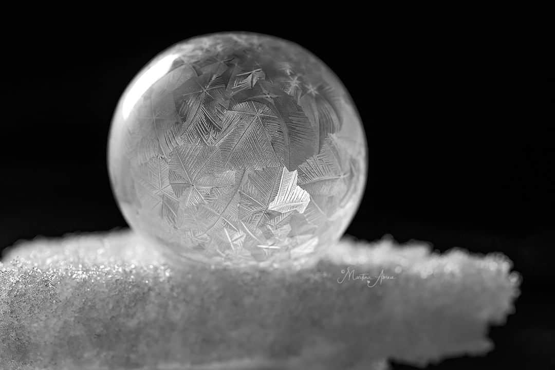 Sigma Corp Of America（シグマ）さんのインスタグラム写真 - (Sigma Corp Of America（シグマ）Instagram)「If it's a bit chilly outside in your neck of the woods, there's no better time to freeze some soap bubbles and capture the magic of delicate ice crystals forming on the surface.  Photographer @martinaabreuphotos shared this sequence with us, shot with the SIGMA 105mm F2.8 EX DG OS HSM, mounted to a Nikon Z7 II with the FTZ adapter.  Indoors or out, balmy weather or freeze-your-pants-off cold, macro photography is fun and challenging, with lots to discover!  Head to sigmaphoto.com (link in bio) to browse our macro lens selection, including our latest, the 105mm F2.8 DG DN  Art for E-mount and L-mount.  #SIGMA #sigmaphoto #sigma105mmmacro #macro #macrophotography #closeup #closeupphotography #freezing #freezingbubbles #frozenbubbles #icecrystals #icecrystals❄️ #cold #coldweather #winter #winterwonderland」2月16日 1時29分 - sigmaphoto