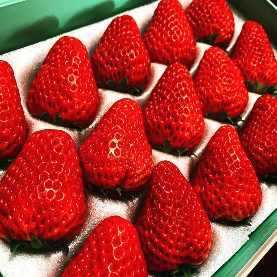 のインスタグラム：「『ありがとな、マジで』 #noah_ghc #千疋屋 #苺 #🍓」