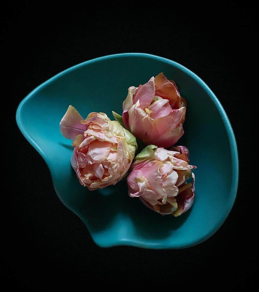 クリスヴァンアッシュのインスタグラム：「3 TULIPS IN A CHAMBOST  #tulips #polchambost #ceramics #flowers #krisvanassche」