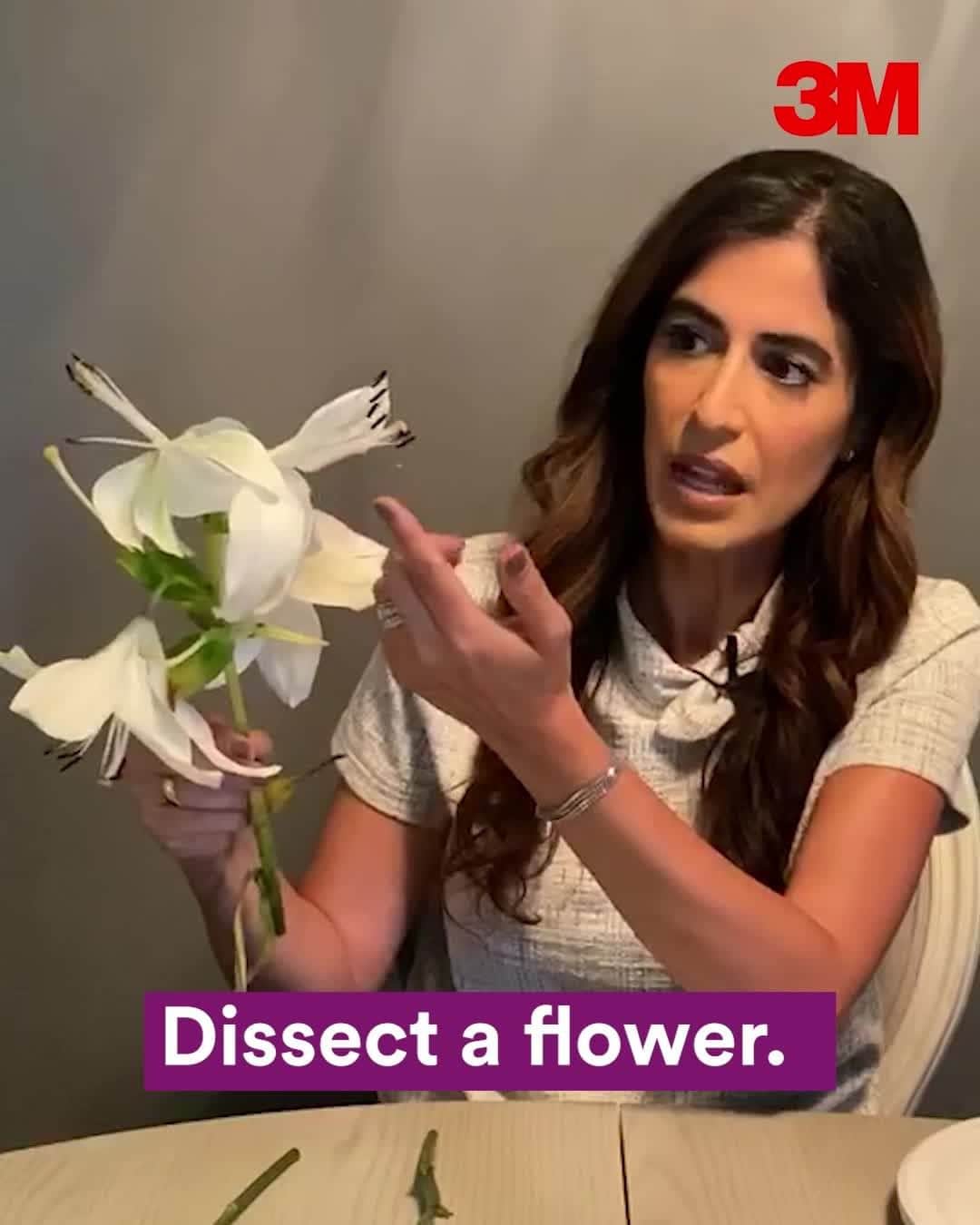 3M（スリーエム）のインスタグラム：「Put on your favorite safety goggles and join our very own Dr. Raha Been for the latest edition of #ScienceAtHome! Explore our simple, at-home experiments designed for kids 6-12. (link in bio) 🥽」