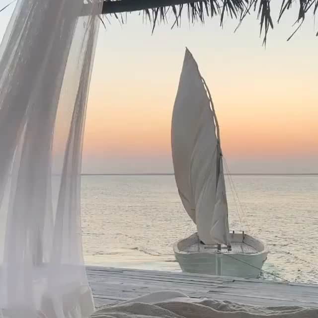 ニコール・ミッチェル・マーフィーのインスタグラム：「This is absolutely beautiful.  Re-@tasteinhotels • Peaceful morning on the coast of Mozambique... (📷 @sussurro.co) Follow @tasteinhotels for more luxury travel inspiration. #tasteinhotels⠀ ⠀ ⚲ Sussurro, Laisse, Mozambique  @sussurro.co ⠀ ⠀ ⠀ Selected by @nodestinations #yfoy #everydayconfidence  #travel #destination」