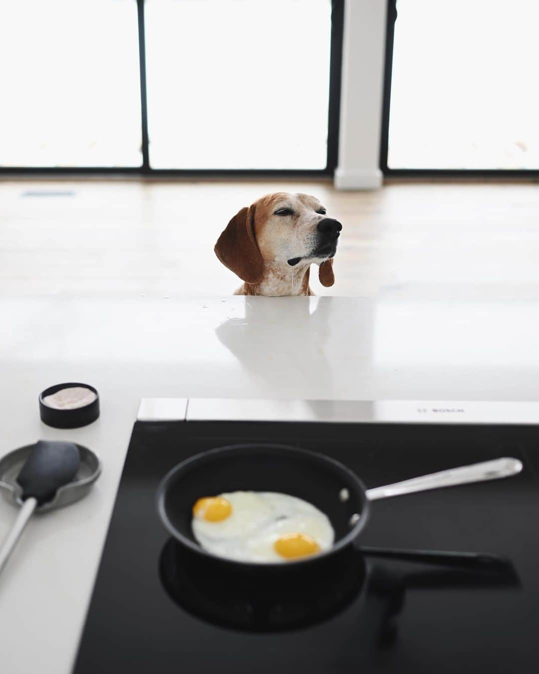 マディのインスタグラム：「Oh hello good morning 👋🏼🍳」