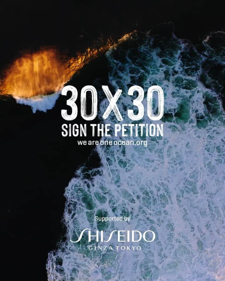 五十嵐カノアのインスタグラム：「The ocean is my home, my life. It’s my everything and I want our future generations to enjoy the beauty of our Earth. I’m excited to share with you that @shiseido is now an official partner of the “We Are One” campaign by @wsl @wslpure. This campaign calls for the protection of 30% of our oceans by 2030, 30x30. To celebrate, I encourage all of you to sign the 30x30 petition at weareoneocean.org. Let’s come together and do all we can to give our children the future they deserve- a future of beauty, happiness and sustainable living. It’s partnerships like these that will help us protect the beauty of our oceans and the future of our planet.   #ShiseidoSBAS #ShiseidoBlue #WeAreOneOcean  @shiseido」