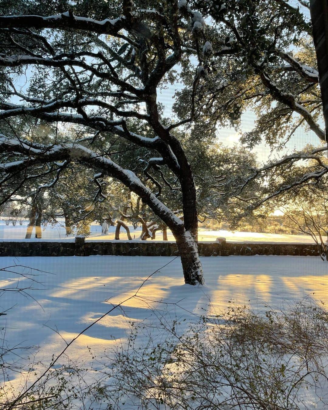 ジェームズ・ヴァン・ダー・ビークさんのインスタグラム写真 - (ジェームズ・ヴァン・ダー・ビークInstagram)「Hey #Texas... y’all lied about the cold. 😘 #ButIAintMad #LoveYa」2月16日 3時38分 - vanderjames