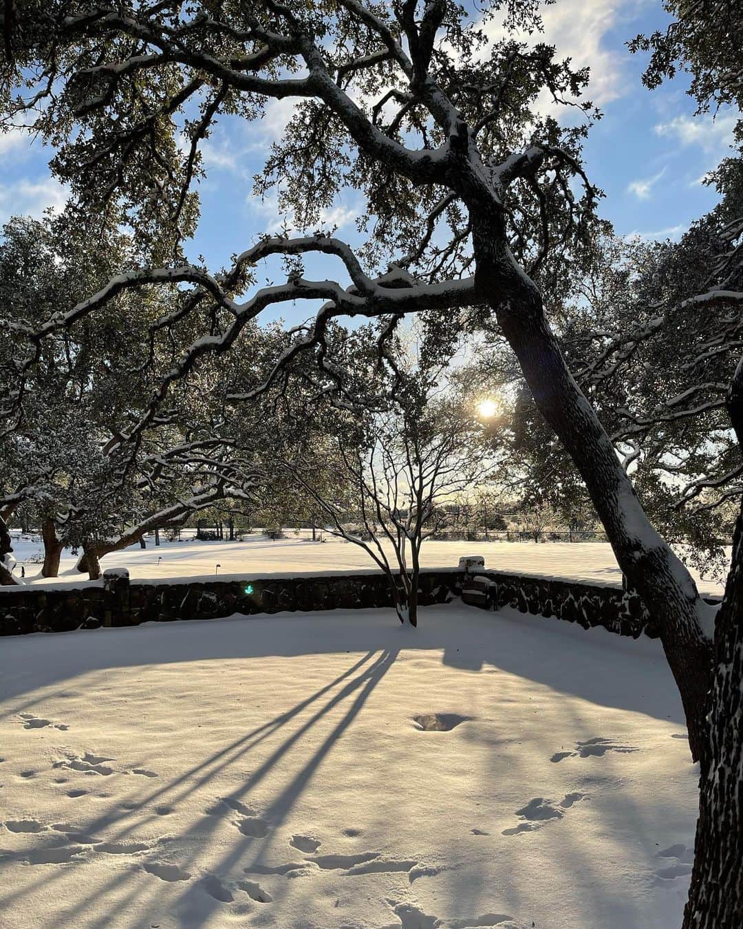 ジェームズ・ヴァン・ダー・ビークさんのインスタグラム写真 - (ジェームズ・ヴァン・ダー・ビークInstagram)「Hey #Texas... y’all lied about the cold. 😘 #ButIAintMad #LoveYa」2月16日 3時38分 - vanderjames