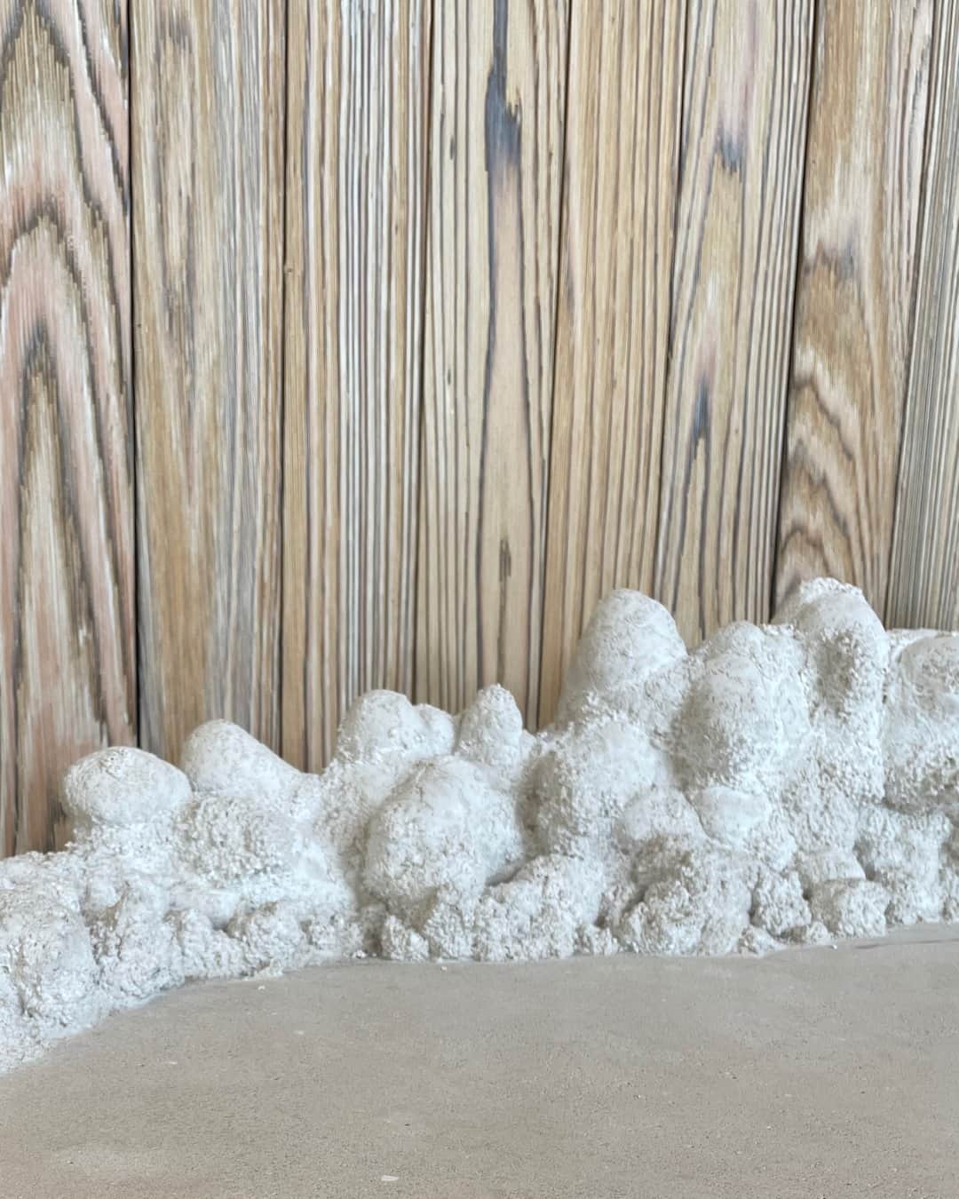 エーエルシーのインスタグラム：「Clean slate, fresh start. Sculptural details at the @santamonicaproper」