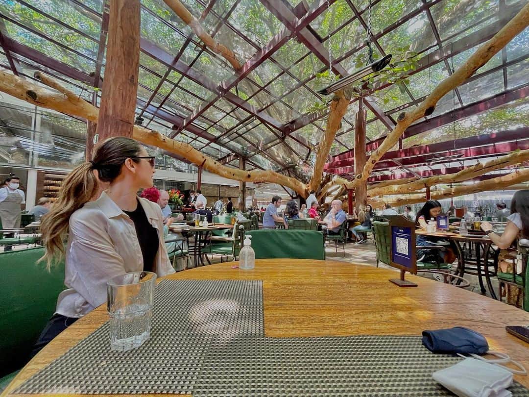 太田エイミーのインスタグラム：「Look at that amazing tree in the middle of the restaurant @afigueirarubaiyat 🌳 finding fabulous open air spots in SP. It was our little Valentines lunch date but apparently in Brazil, they celebrate Lovers Day in June! (As to not clash with Carnival season).」