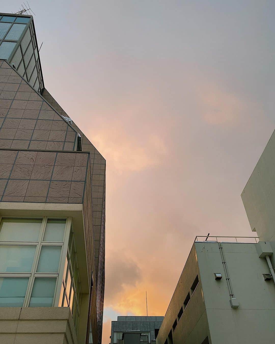 水戸悠夏子さんのインスタグラム写真 - (水戸悠夏子Instagram)「曇りの時のこういう夕暮れ綺麗ですよね〜ここに溶けてしまいたい。」2月16日 14時15分 - mitoyukako