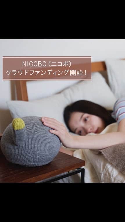 Panasonic ふだんプレミアムのインスタグラム：「応援ありがとうございました！ 初日にプロジェクトが成立しました。 NICOBOがあなたのお家に行くまで、 Makuakeのサイトで活動レポートしますので、お楽しみに♪ . ▼活動レポート https://www.makuake.com/project/nicobo/communication/ . . 寝⾔も⾔うしオナラもしちゃう”弱いロボット”「NICOBO（ニコボ）」 「Makuake」でのクラウドファンディング開始！  アタラシイものや体験の応援購入サービス「Makuake」( @makuake_official )でプロジェクトをスタート👐  〜「NICOBO」はこんな子です〜 1️⃣なでると、喜んでしっぽを振って、人なつっこいしぐさをします。 2️⃣ぼーっと１人で過ごしたり、寝言を言ったりオナラをしたりマイペースなところがあります。 3️⃣たまに言葉を覚えてカタコトで話すので、きゅんとします。  ------------------------------------------------ ▼「NICOBO（ニコボ）」の詳細はこちらから！ https://www.makuake.com/project/nicobo/ ------------------------------------------------  #弱いロボット #NICOBO #ニコボ #iot #ロボット #robot #おうち時間 #相棒 #友達募集 #友達 #makuake #ロボットペット #ペットロボット #ロボットのいる暮らし #ロボットロボット #クラウドファンディング #暮らしを整える #暮らしを楽しむ #パナソニック家電 #家電 #家事 #パナソニックと暮らす #パナソニック #panasonic」
