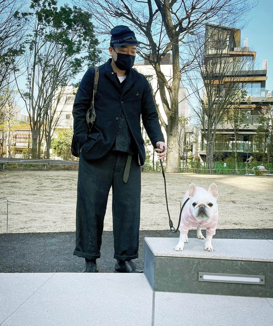 Ham-chanさんのインスタグラム写真 - (Ham-chanInstagram)「#frenchbulldog #frenchie #hamham #hamchan #paulharnden #フレブル #フレンチブルドッグ #はむちゃん #はむはむ  いい天気🐶🌞」2月16日 14時48分 - hide_ham_tank