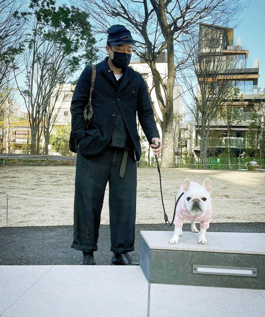 Ham-chanのインスタグラム：「#frenchbulldog #frenchie #hamham #hamchan #paulharnden #フレブル #フレンチブルドッグ #はむちゃん #はむはむ  いい天気🐶🌞」