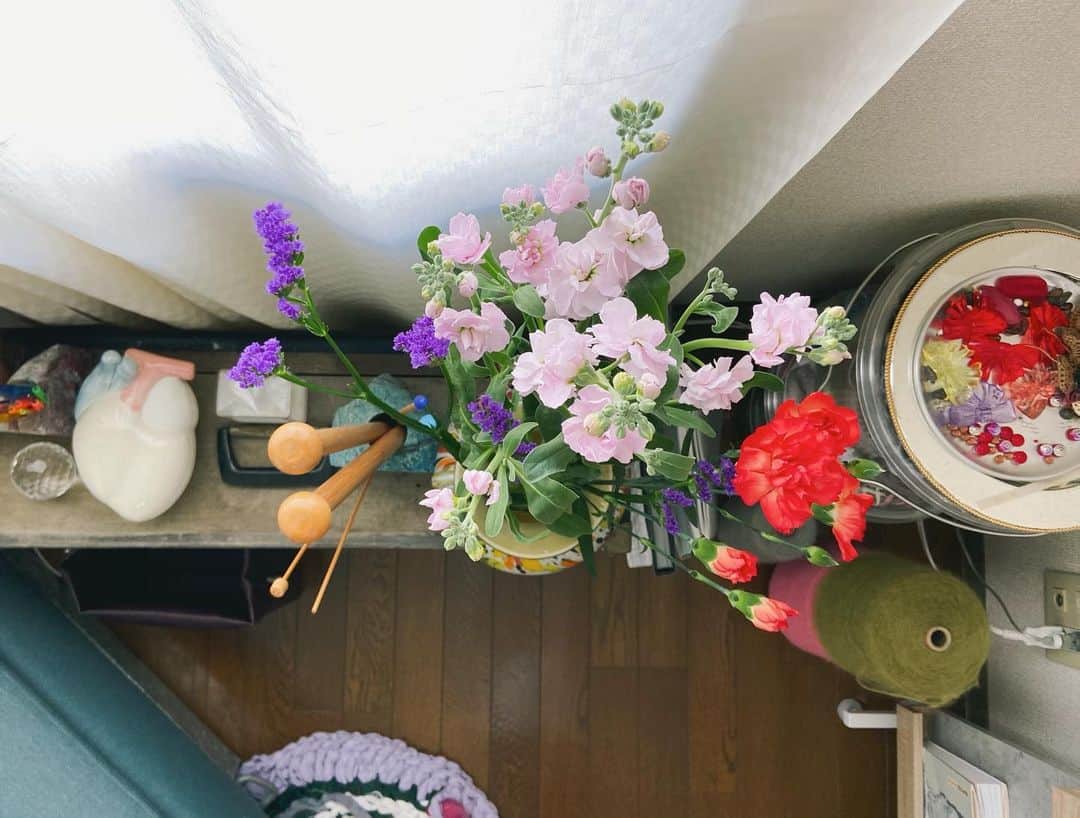 蓮沼千紘さんのインスタグラム写真 - (蓮沼千紘Instagram)「1週間、花は今日も美しいです。」2月16日 14時55分 - knitchihiro