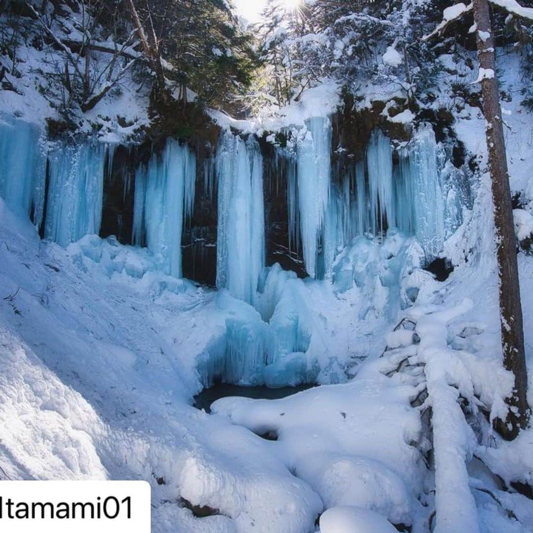 Gero City【下呂市公式アカウント】さんのインスタグラム写真 - (Gero City【下呂市公式アカウント】Instagram)「#Repost @01tamami01 with @make_repost ・・・ 贅沢な滝めぐりツアー ガイドの方に感謝😊☃️  地元で楽しめることをたくさん探そう！ 地元の絶景に感動(*^◯^*)  #gerostagram#下呂で楽しもう#氷瀑 #飛騨高山#takayamagram#風景 #japan_daytime_view #氷柱#visit_tokai#team_jp_#tokyocameraclub#bestjapanpics#Loves_Nippon#japan_of_insta#daily_photo_jpn#photo_jpn#ptk_japan#ig_phos#飛騨のたばる箱 #hubsplanet#visitjpn#got_greatshots#bestphoto_japan#雪#hidatrip」2月16日 15時19分 - gerostagram