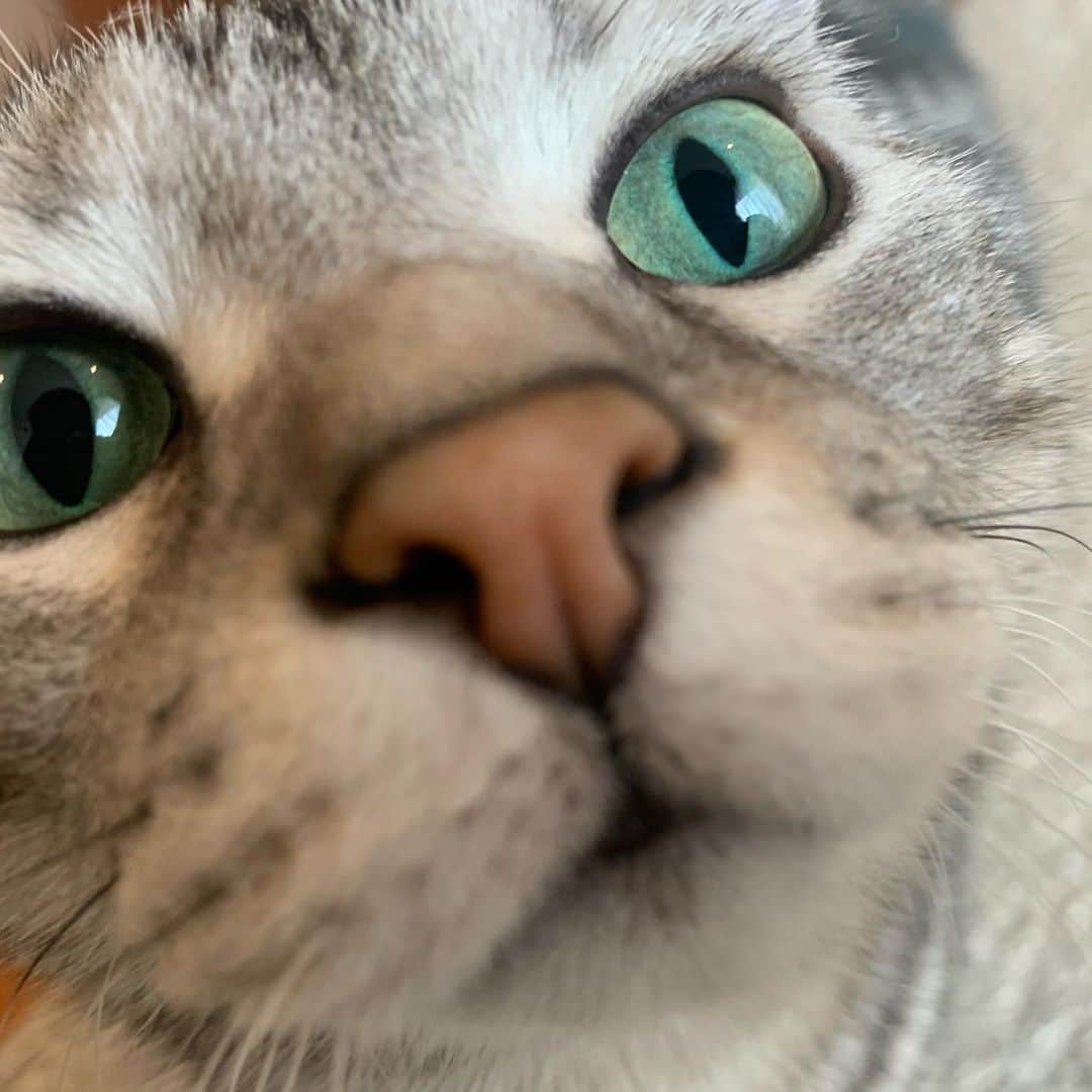 Alain アランのインスタグラム