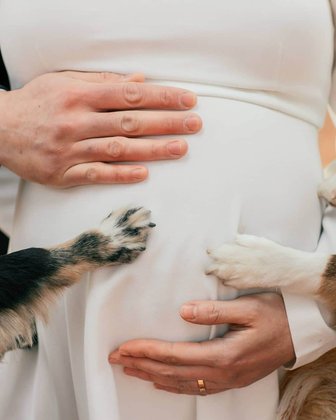 キム・ジャインのインスタグラム：「💖💖💖 👋🤍🐾👶🏻🐾🤎🖐 💖💖💖」