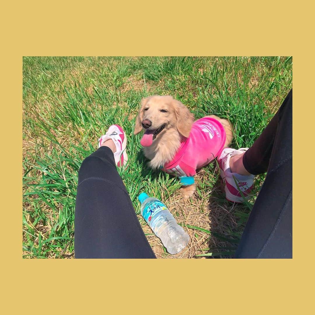 菅長愛子のインスタグラム：「🌞🌞🌈👟 いい天気！  カーテンあけて窓あけて空気の入れ換えして 少し外の空気を吸いに散歩して 太陽を浴びましょう🌞🍃  スッキリ。  水分補給や花粉症対策も忘れずに🥛😷 今日も1日がんばりましょうー！」