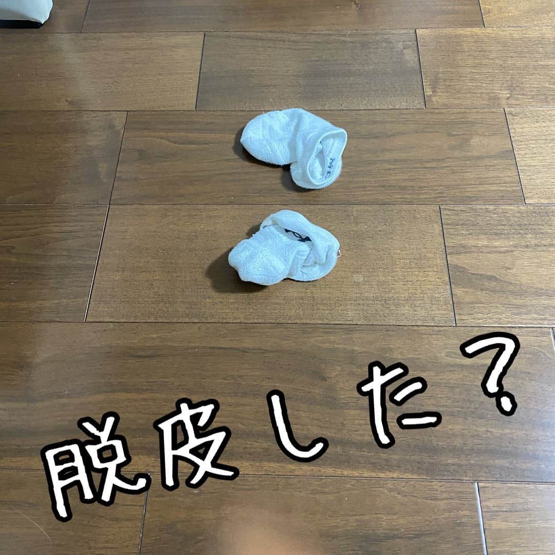 内山久美のインスタグラム：「☆☆☆☆☆☆☆☆☆☆☆☆☆☆☆☆☆☆☆☆☆☆☆☆☆  先日友人から質問がありました。  「男の人って、洋服を脱ぎっばなしにするもんなの？」  正しい答えは 「脱皮する生き物です🤘」  #旦那の日常 #夫婦生活 #脱ぎ捨て #靴下放置」