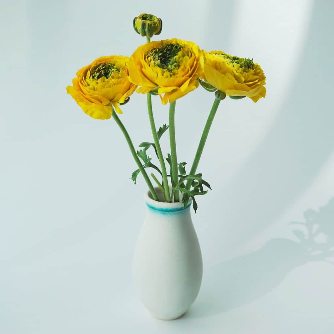 SPURさんのインスタグラム写真 - (SPURInstagram)「白菜みたいなラナンキュラスを見つけました。緑芯だけのオールグリーンタイプもあるそうです。  #ラナンキュラス #SPURFlower #SPUR編集G #SPURFlower #SPUR #SPURmagazine #花を飾る #花を愛でる #花のある暮らし #花のある生活 #花と暮らす #花 #flowerstagram」2月16日 9時00分 - spurmagazine