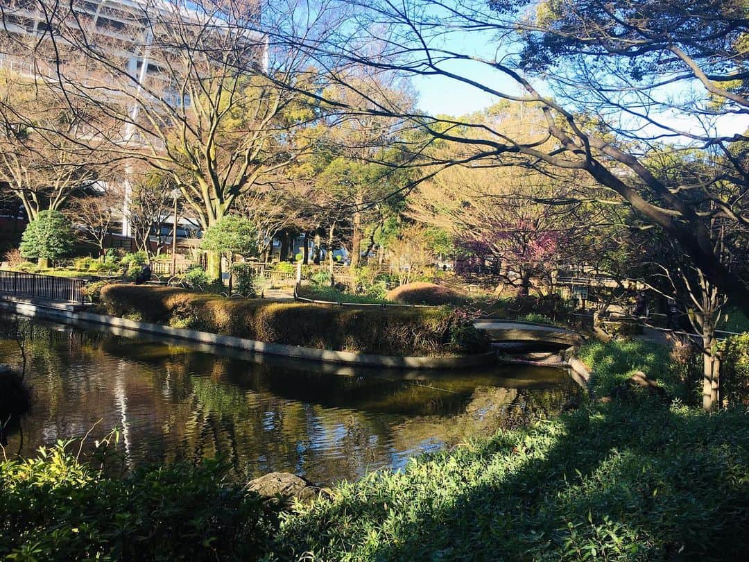 近藤淳子さんのインスタグラム写真 - (近藤淳子Instagram)「おはようございます！  お仕事の前の、ちょっとだけ横浜散歩✨  満開ですかね￼☺️  良き一日になりますよう♡  #横浜 #散歩 #春」2月16日 9時09分 - kondo_junko_
