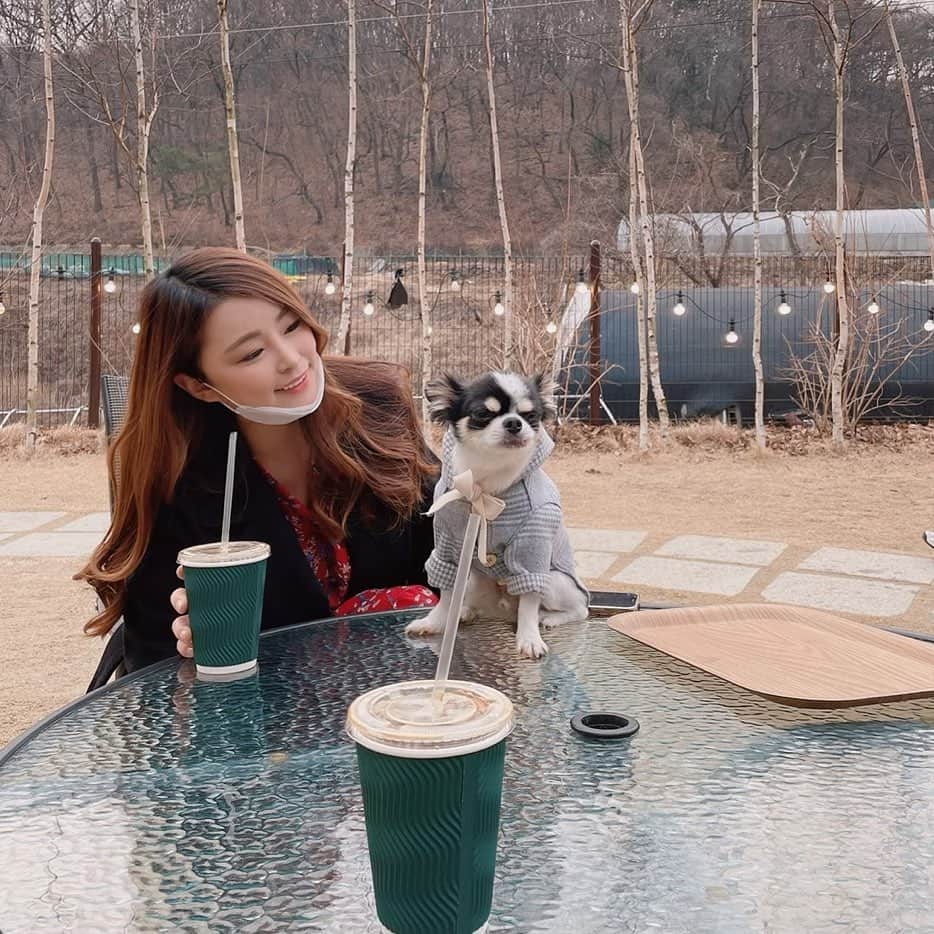 のインスタグラム：「야, 하나 둘 셋 하면 같이 보기로 했잖아」