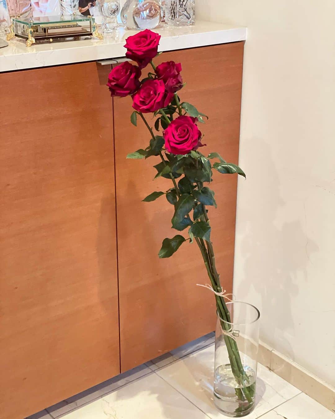 髙田麻紀子のインスタグラム：「❤︎ .  Happy Valentine's Day❤️ 主人と子供達から150センチ薔薇をもらいました🌹 . 次は200センチの薔薇を欲しがってる主人😂あるのかな、、🤣 . #valentine #🌹」